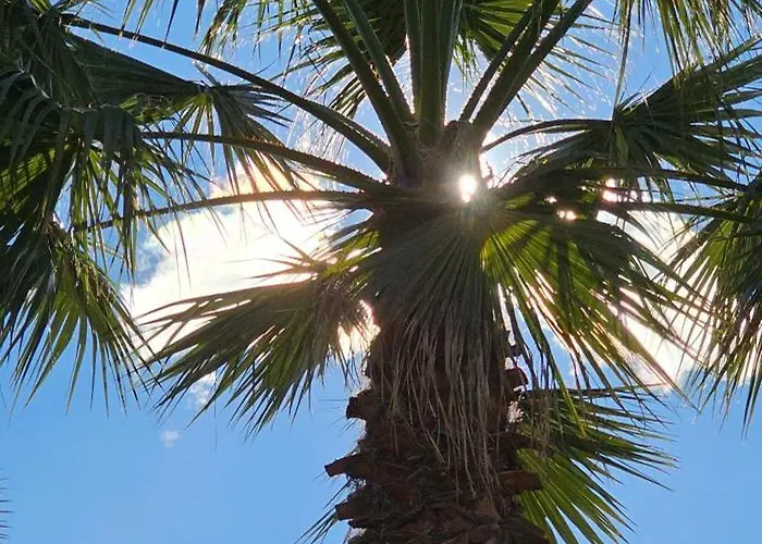 Am See, Zentral, Ruhig アパート ブリッサーゴ