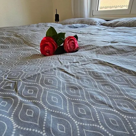 Lejlighed Am See, Zentral, Ruhig Brissago